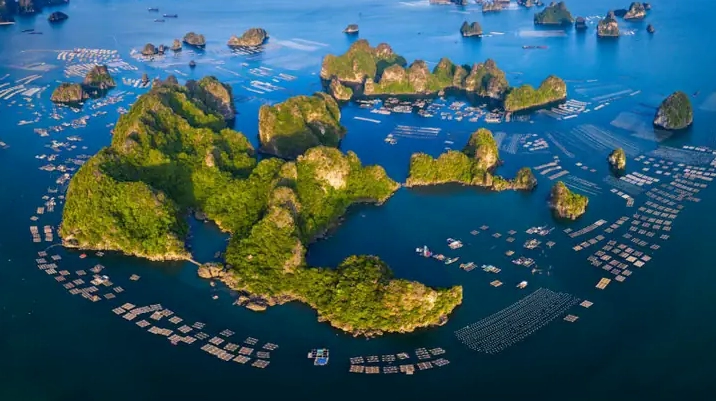 Bãi biển hoang sơ tại Phú Quốc