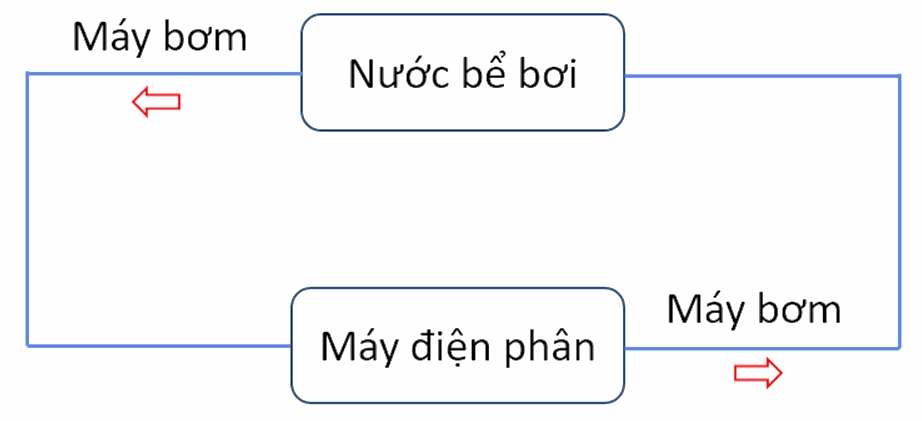 Bể bơi cần được khử trùng định kỳ bằng hóa chất