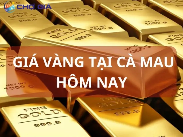 Biểu đồ giá vàng tại Cà Mau năm 2026