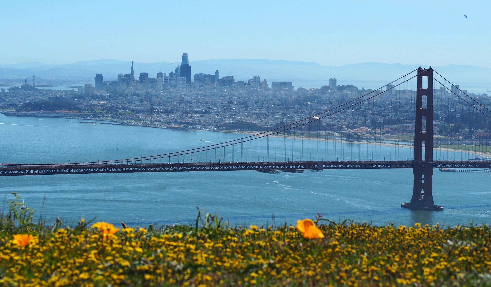 Khung cảnh vịnh San Francisco và Cầu Cổng Vàng