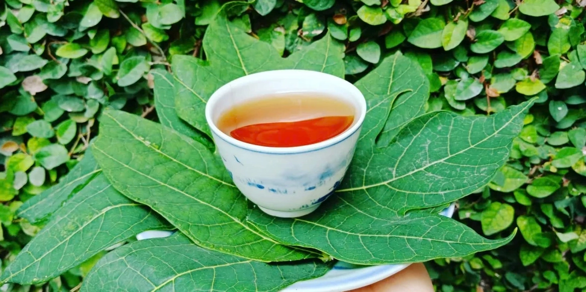 Ly nước lá đu đủ trong bữa ăn