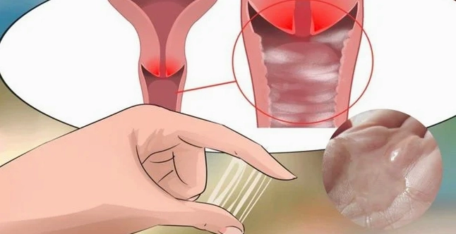 Mẹ bầu kiểm tra dấu hiệu rỉ ối