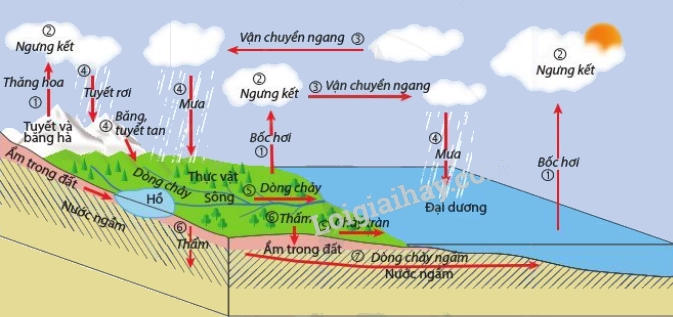 nuoc-trong-thuy-quyen-dang-nao-chiem-uu-the-nhat_353