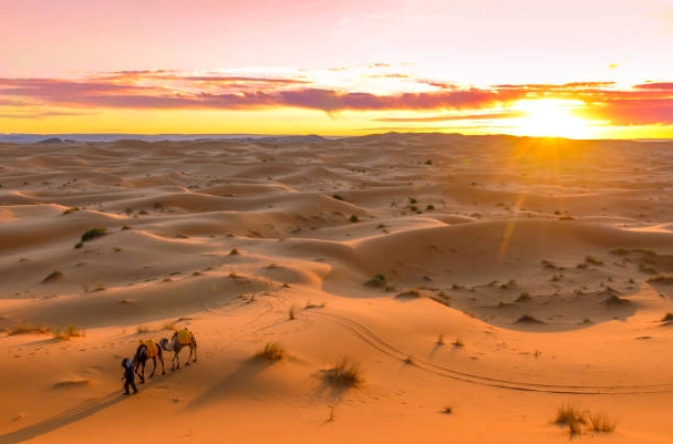 Toàn cảnh sa mạc Sahara rộng lớn