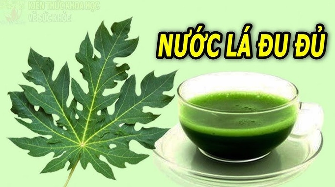 uong-nuoc-la-u-u-vao-luc-nao-tot-nhat-cho-suc-khoe-2026_397