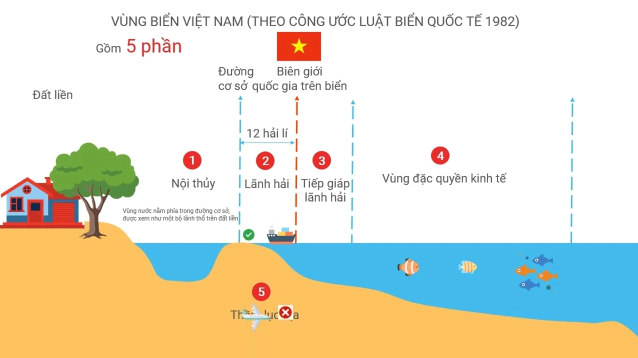vung-bien-nuoc-ta-gom-nhung-bo-phan-nao-phan-tich-chuyen-sau_138
