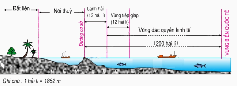 vung-nao-co-dien-tich-lon-nhat-nuoc-ta-kham-pha-ia-ly-viet-n_735