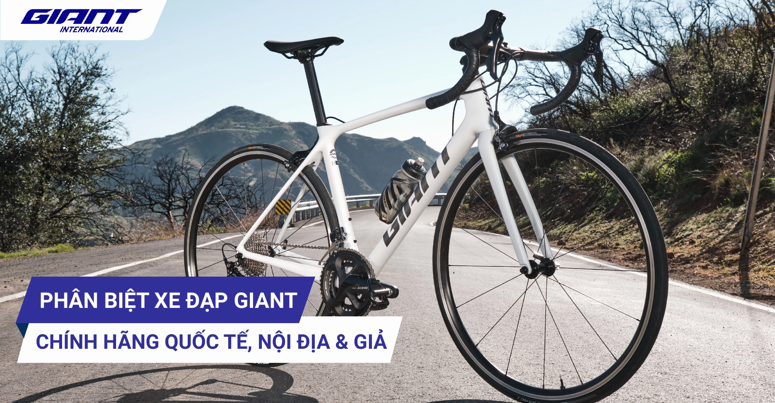 Đa dạng mẫu mã xe đạp Giant