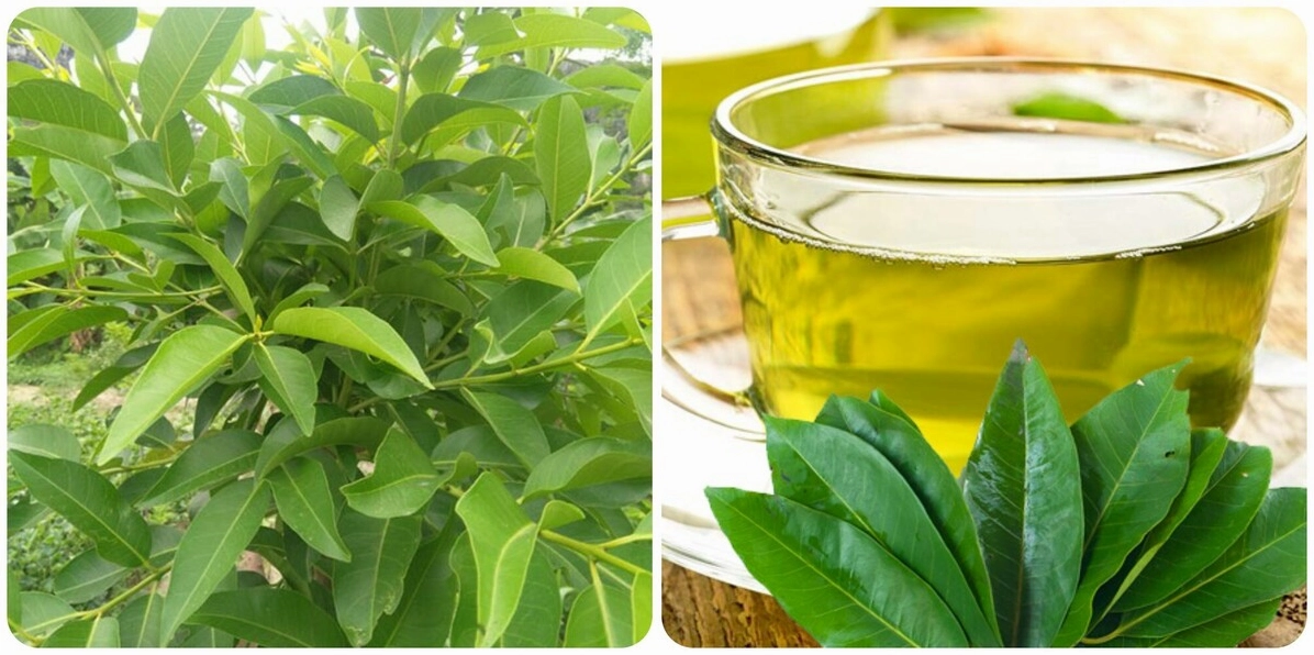 Bát nước vối với đá