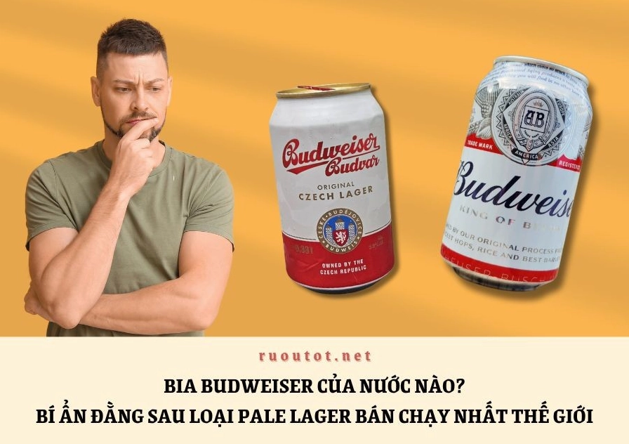 Bia Budweiser của nước nào - Nguồn gốc và lịch sử