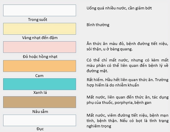 Biểu đồ màu sắc nước tiểu