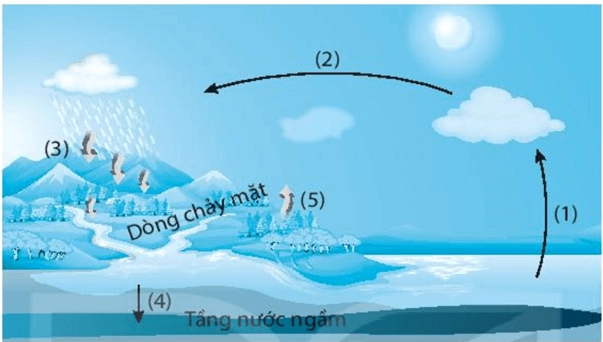 Biểu đồ phân bố các nguồn nước trên Trái Đất
