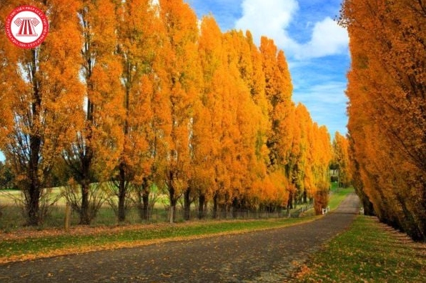Cảnh quan thành phố Moscow, Nga