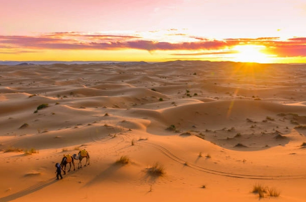 Cồn cát vàng óng của sa mạc Sahara