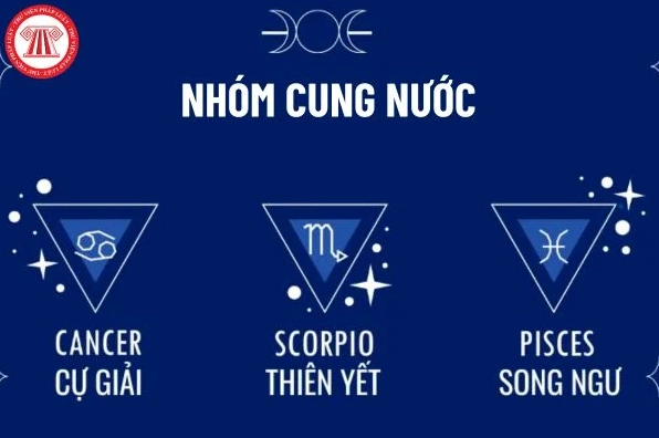 giai-ma-cung-nuoc-gom-cung-nao-he-lo-ac-iem-oc-ao-2026_186