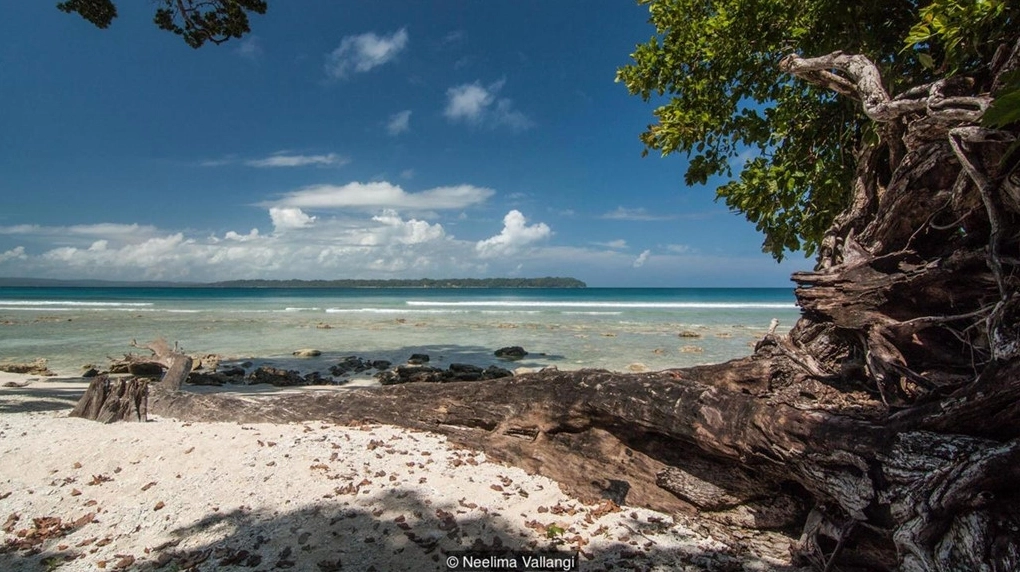 Hệ sinh thái biển phong phú tại Maldives