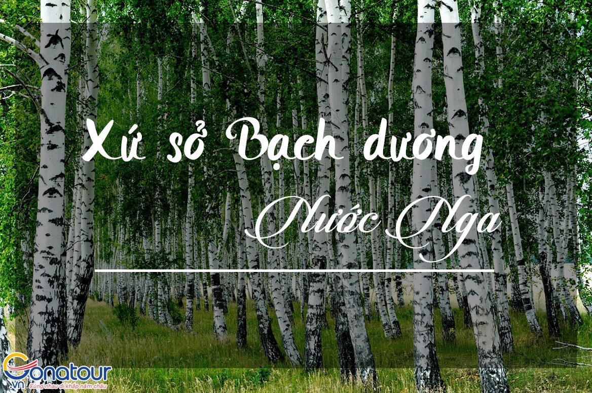 Kiến trúc Nhà thờ Thánh Basil, Nga