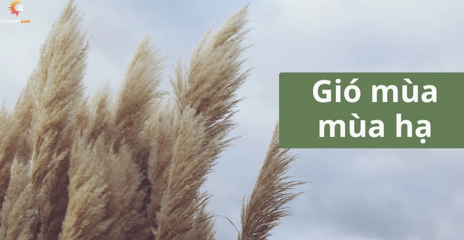 Mưa lớn do gió mùa hạ tại Việt Nam