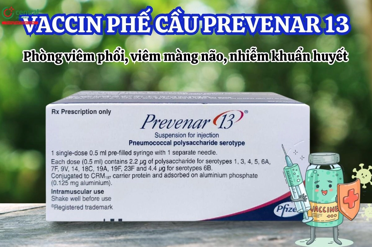 prevenar-13-cua-nuoc-nao-phan-tich-chi-tiet-va-cap-nhat-2026_902