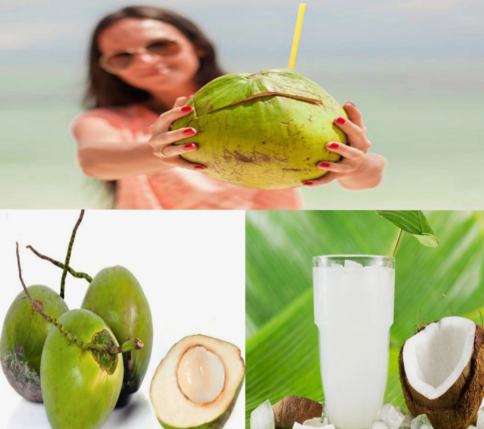 Quả dừa tươi