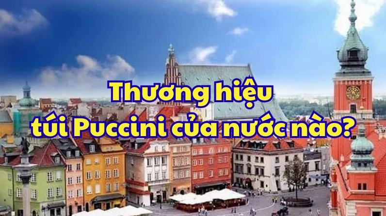 Thiết kế đa dạng của túi Puccini