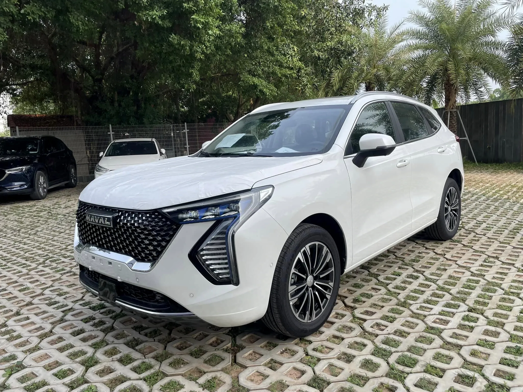 Xe Haval Jolion