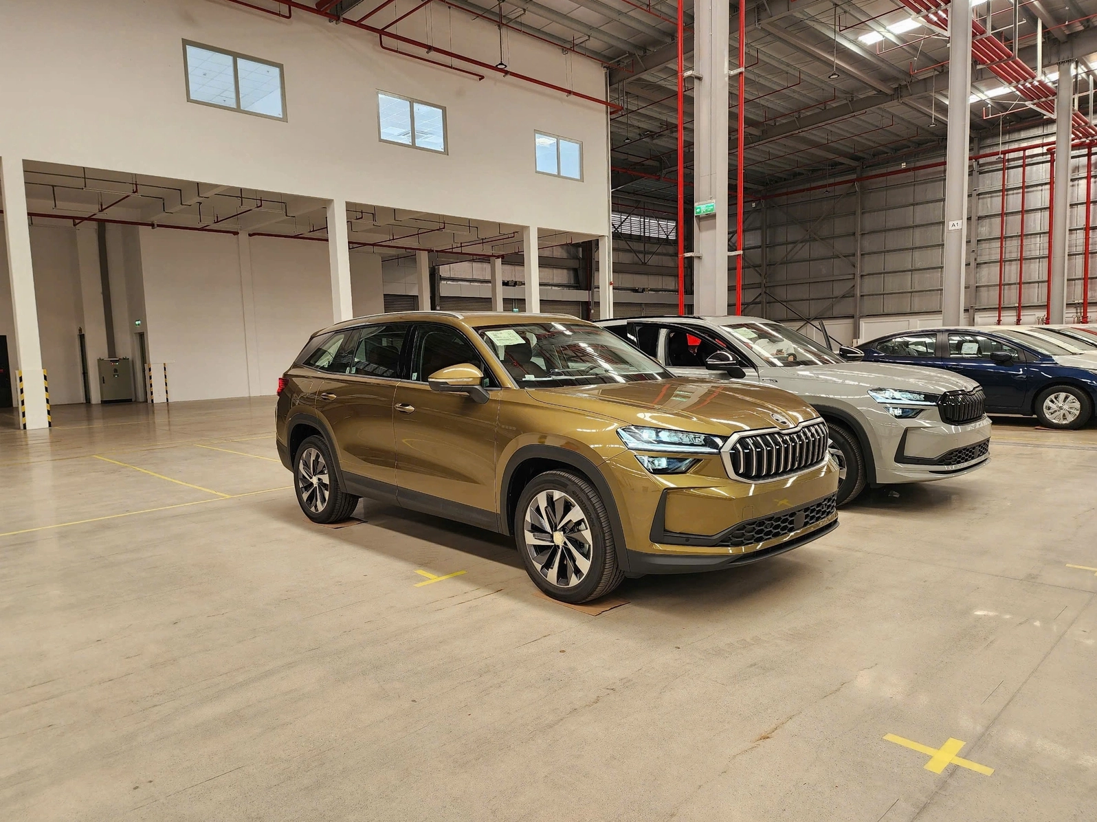 Xe Skoda đang lăn bánh trên đường